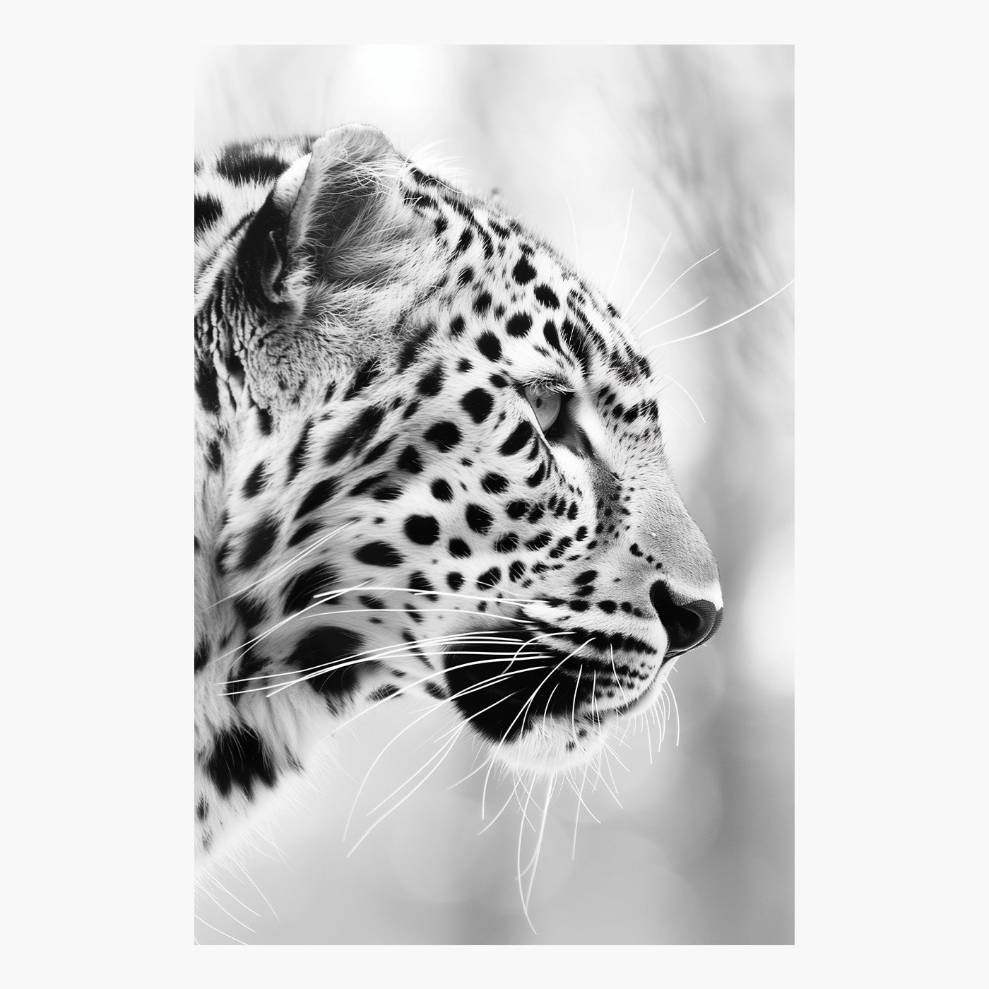 Leopard's Profile