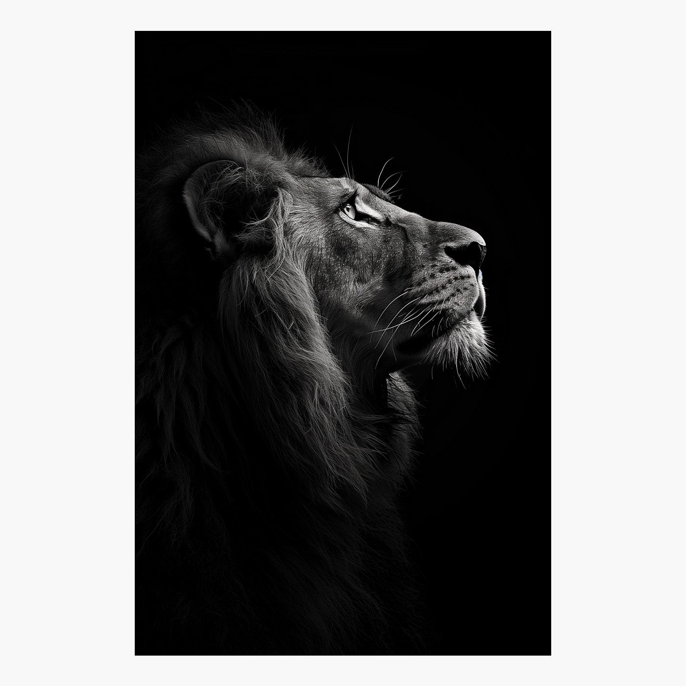Lion's Profile