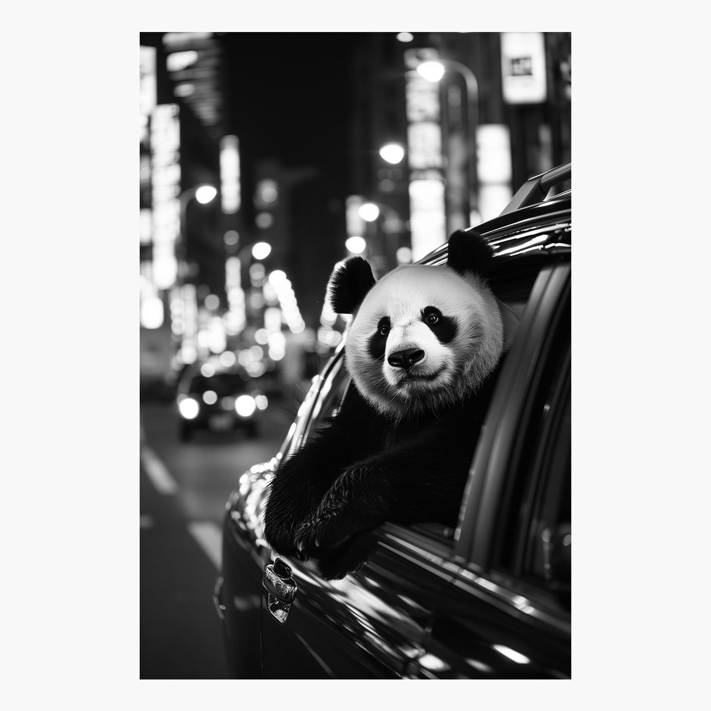 Panda in Tokyo